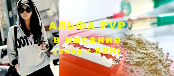 гидра Аркадак