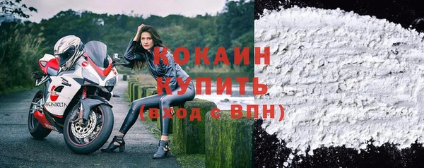 spice Алзамай