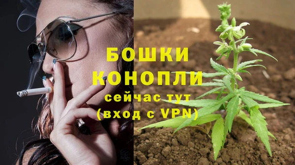 2c-b Осинники