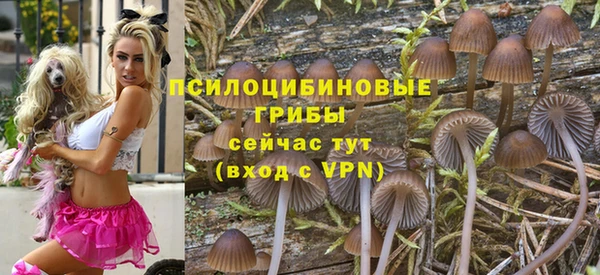кокаин премиум Осташков