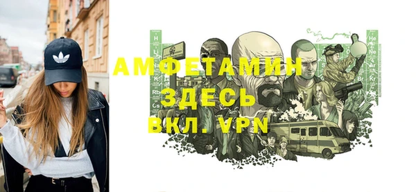 мет Алексин