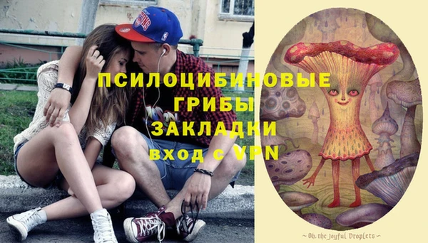 а пвп мука Алексеевка