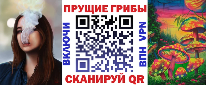 закладка  мега сайт  Псилоцибиновые грибы MAGIC MUSHROOMS  Сусуман 